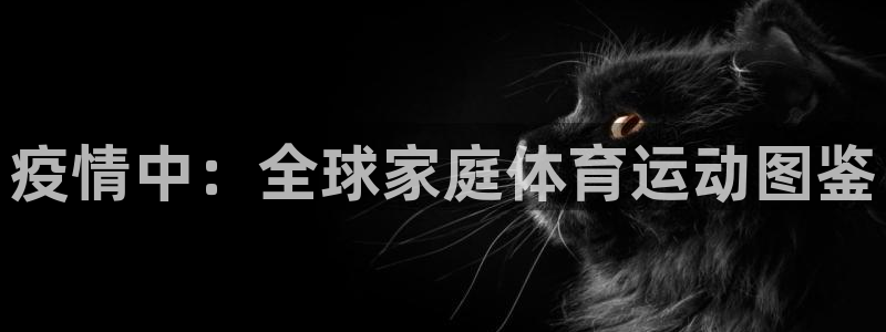 3377体育官网入口下载最新：疫情中：全球家庭体育运动图鉴