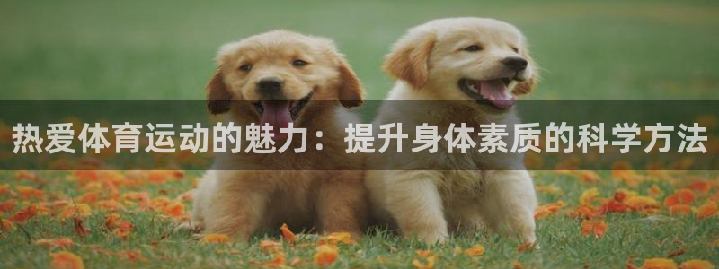 3377体育app官网下载地址：热爱体育运动的魅力：提升身体素质的科学方法
