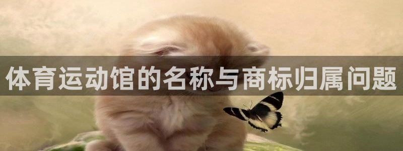3377体育官网下载：体育运动馆的名称与商标归属问题