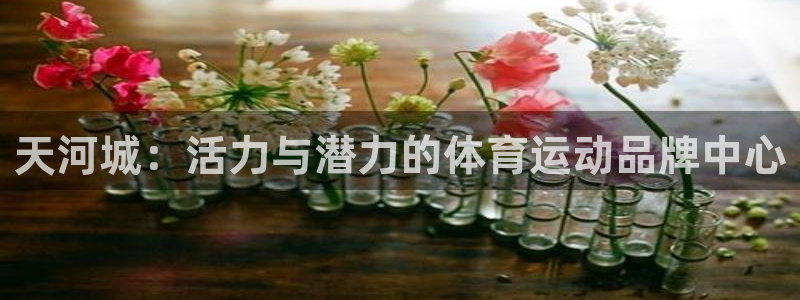 3377体育官网：天河城：活力与潜力的体育运动品牌中心