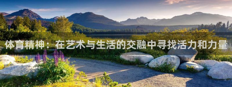 3377体育app官方下载：体育精神：在艺术与生活的交融中寻找活力和力量