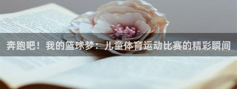 3377体育app官网下载地址：奔跑吧！我的篮球梦：儿童体育运动比赛的精彩瞬间