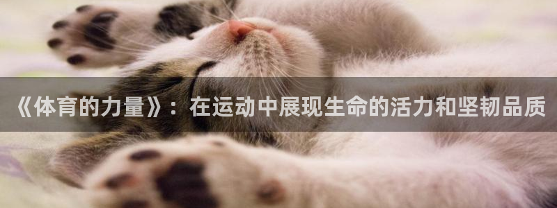 3377体育在线登录官网入口：《体育的力量》：在运动中展现生命的活力和坚韧品质