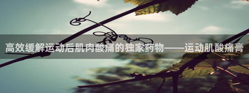 3377体育官方app下载：高效缓解运动后肌肉酸痛的独家药物——运动肌酸痛膏