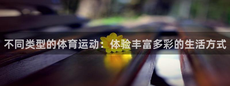 3377体育在线登录官网入口：不同类型的体育运动：体验丰富多彩的生活方式