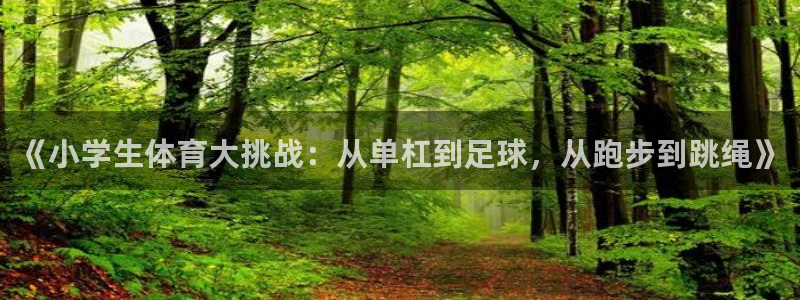 3377体育全网：《小学生体育大挑战：从单杠到足球，从跑步到跳绳》