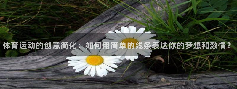 3377体育是正规的吗：体育运动的创意简化：如何用简单的线条表达你的梦想和激情？